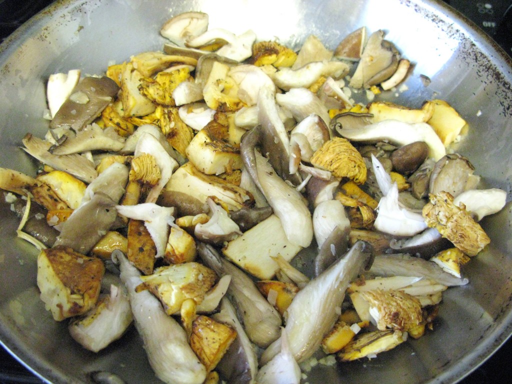 Dr. Ettinger's Wild Mushrooms