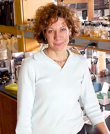 Quorum Sensing and Bonnie Bassler