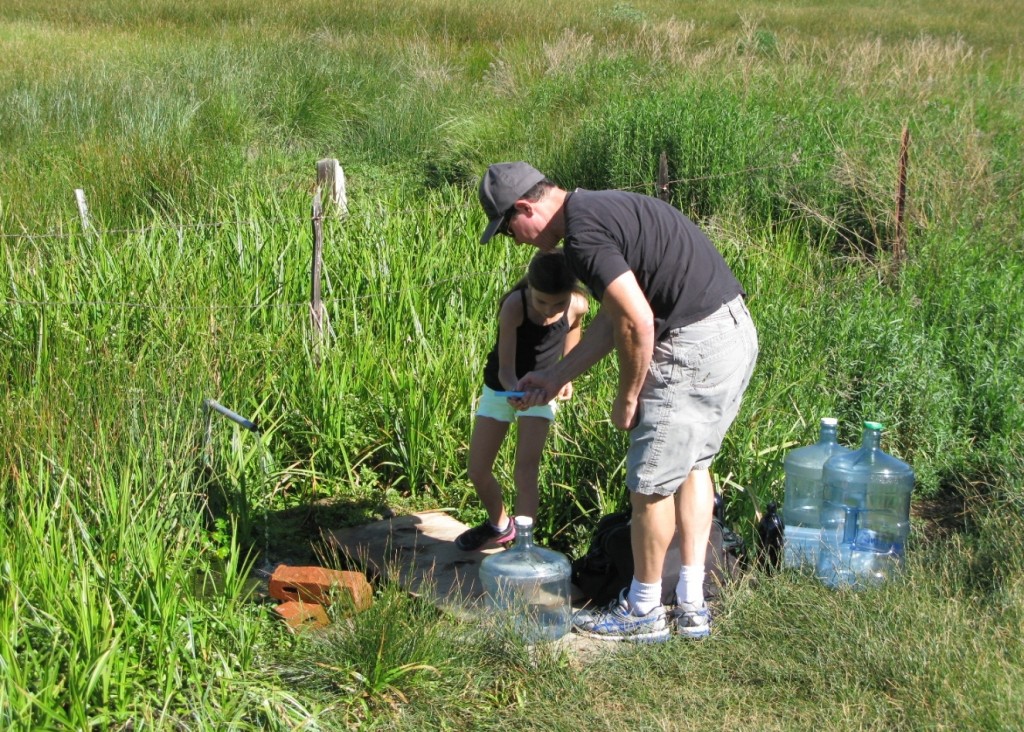 Checking the PPM's of dissolved solids. pH was 7.8, PPM 140