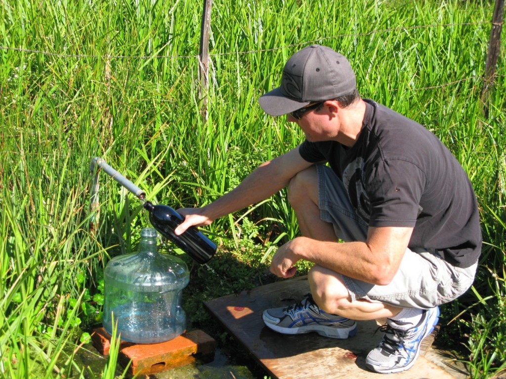 There is nothing better to store water in then Miron Glass!