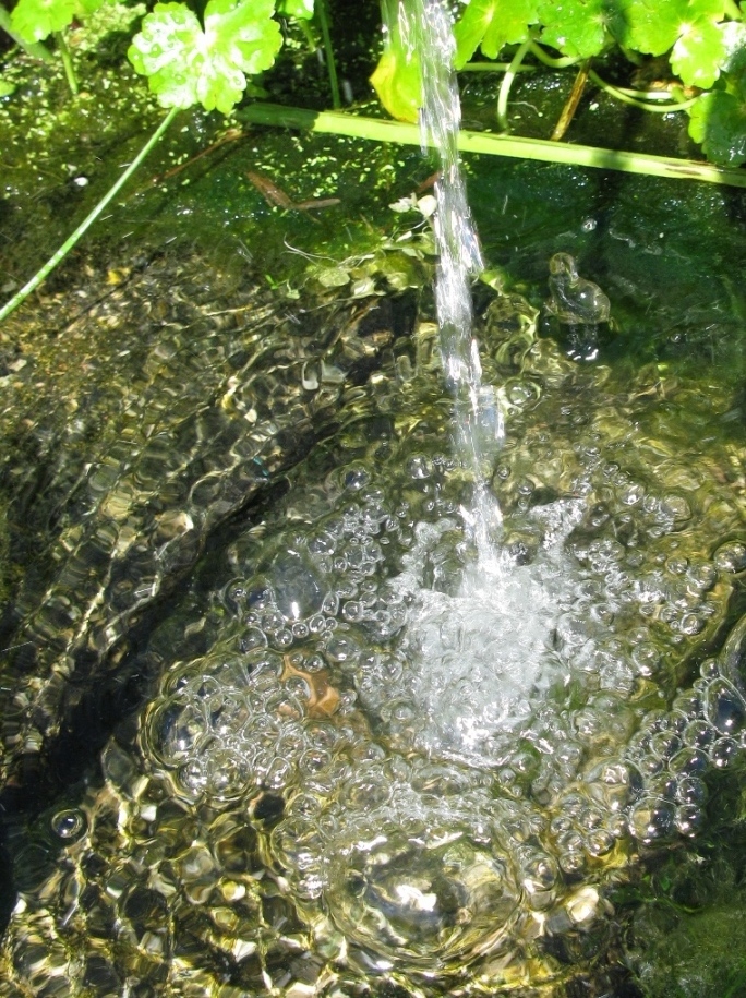 Mountain Spring Living Water