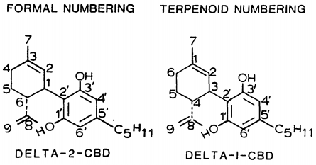 Stress and Injury Negatively Impacts Anandimide and our Endocannabinoid System