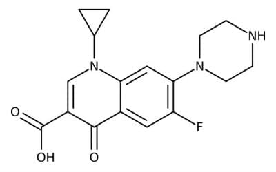 Cipro Inhibits Mitochondrial DNA Replication