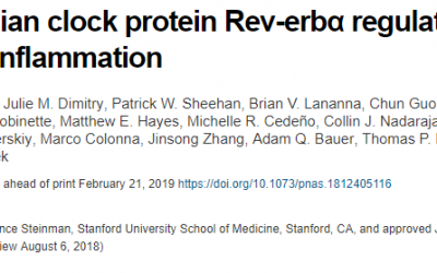 Rev-erbA regulates neuroinflammation in the central and peripheral nervous systems