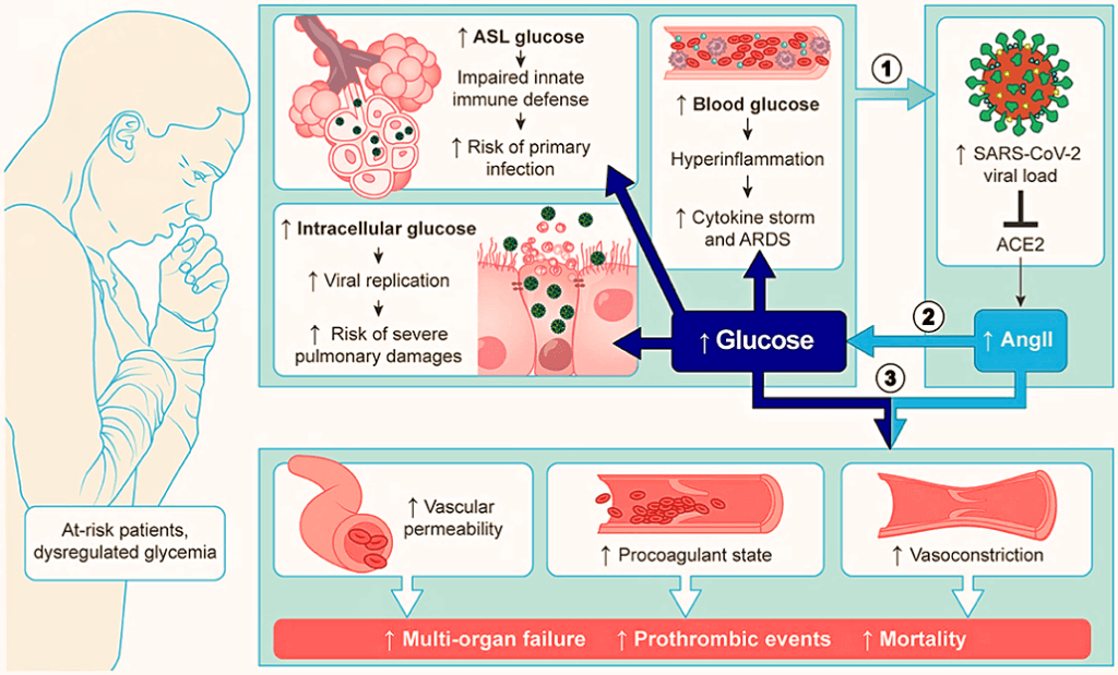 Hyperglycemia and Viral Replication