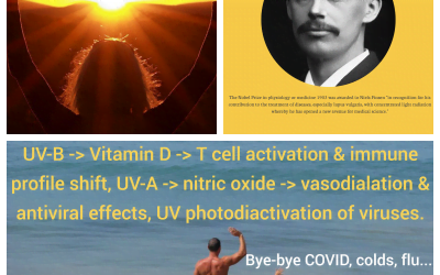 vitamin-d-from-the-sun-not-supplementation-reduces-all-cause-mortality-risk