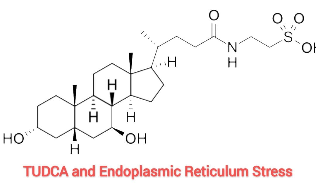 TUDCA and ER Stress: Enhancing Cellular Health