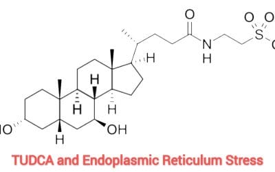 TUDCA and ER Stress: Enhancing Cellular Health