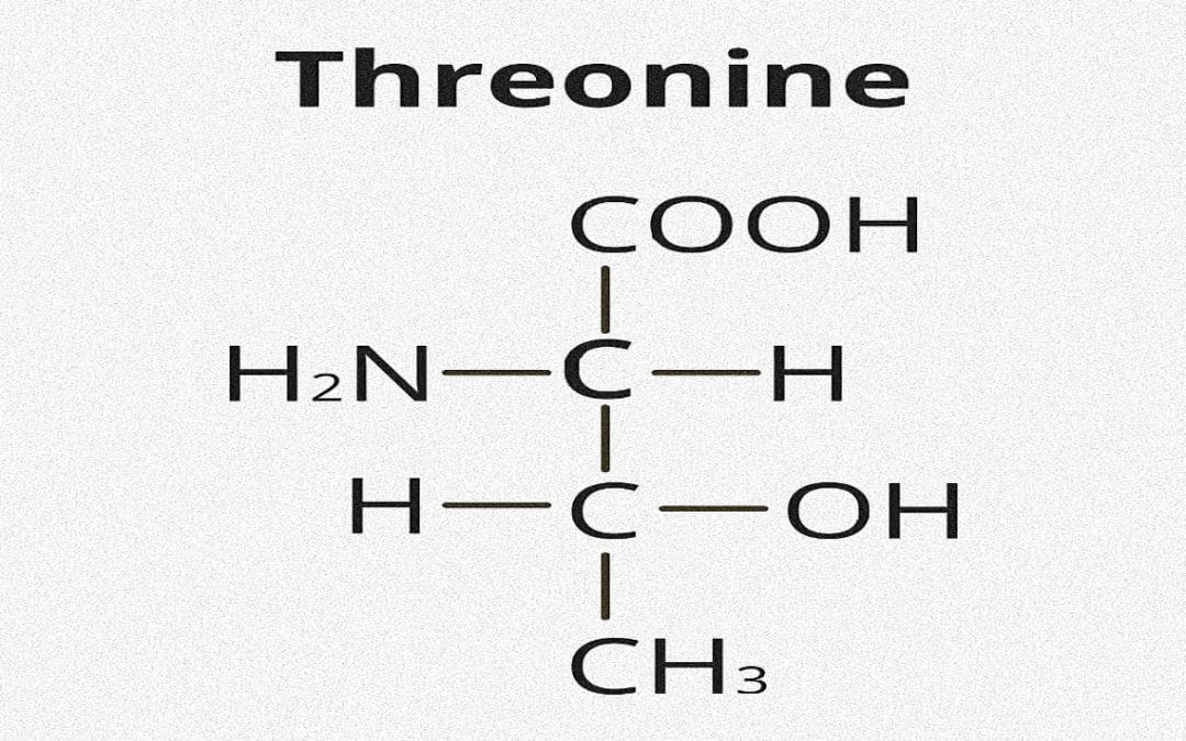 Threonine is Crucial - Dr. Marcus Ettinger