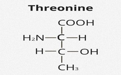 Threonine is Crucial for Health, Longevity & Cellular Resilience