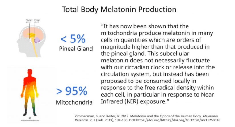 Melatonin may offer protection against COVID severity