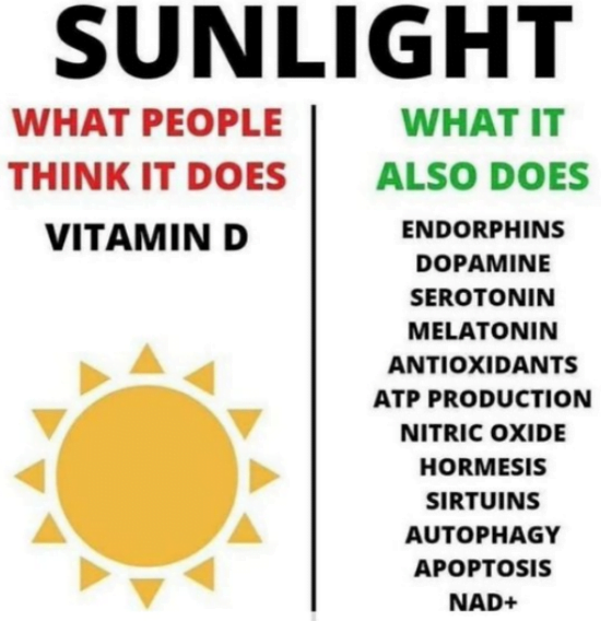 Sunlight and Vitamin D connection