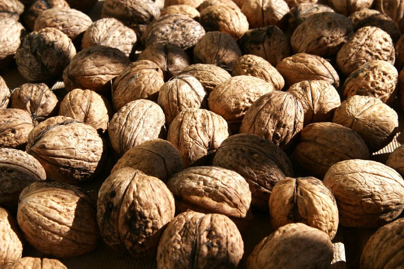 Walnuts and Red Wine, Every Day, Keep Cancer and the Doctor Away