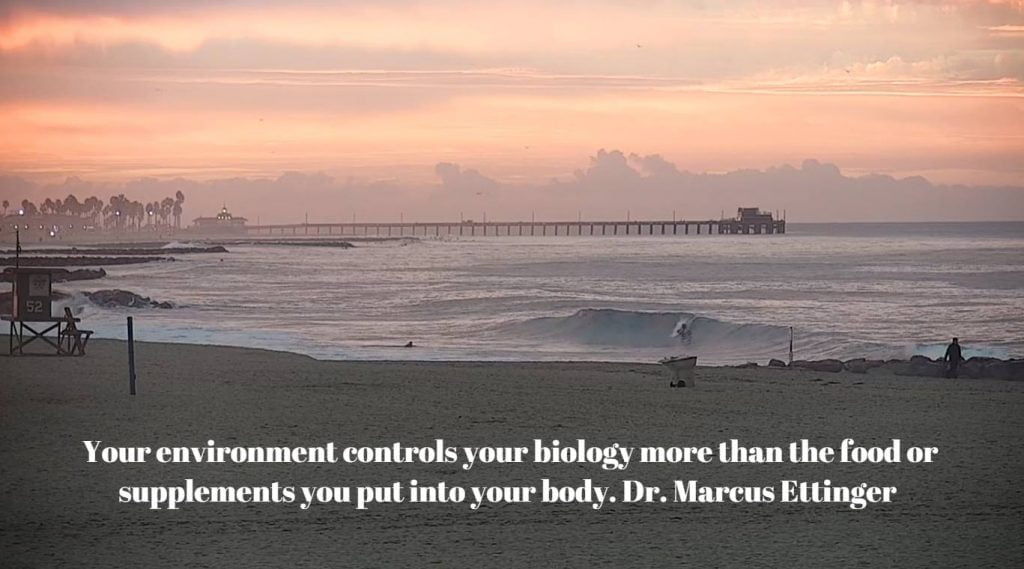 Your environment controls your biology more than does the fuel you put into it.