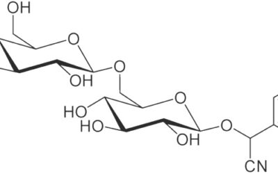 How about the controversy of Laetrile for GBM4 or cancer?