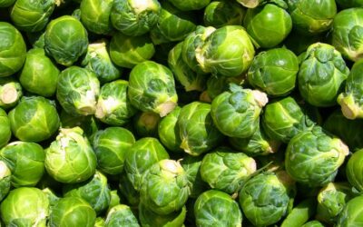 Brussels Sprouts Reduce DNA Damage Caused by Oxidative Stress