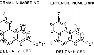 Stress and Injury Negatively Impacts Anandimide and our Endocannabinoid System