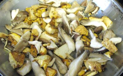 Filet Mignon with Sautéed Wild Mushrooms and Asparagus