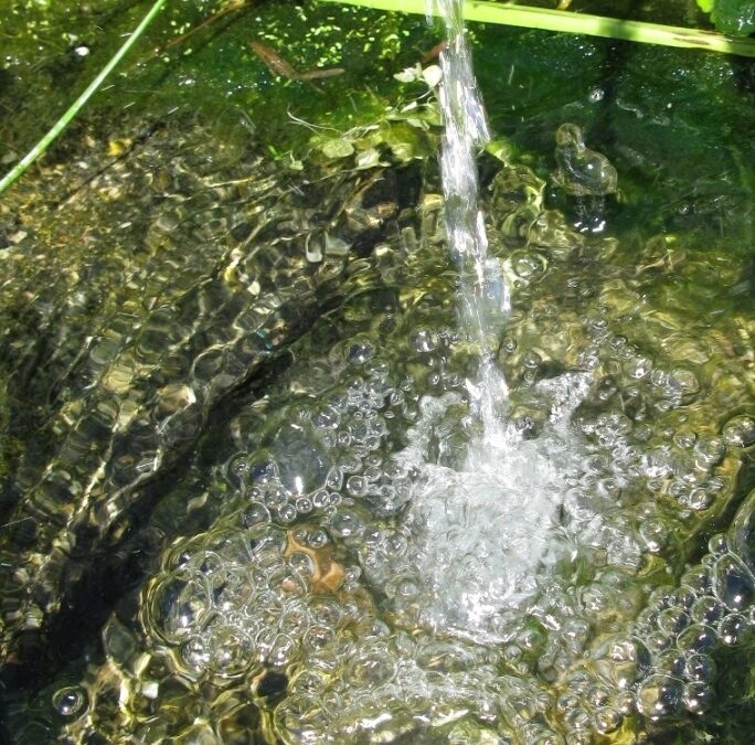 Living Water and Natrue Hike