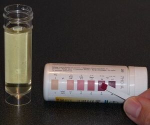 Orange County UltraLite (weight-loss) Program – Day 3