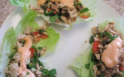 Lettuce Wraps (low calorie and low glycemic)
