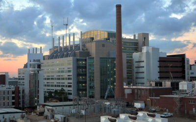 Infants and mothers aren’t receiving enough vitamin D