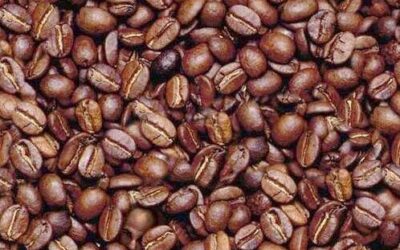 The positive effect of moderate coffee consumption