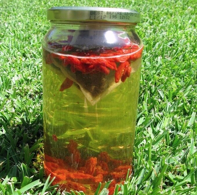 Sun-Charged Goji Berry and Horsetail Tea (silica tonic)