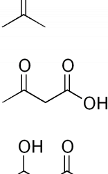 Orange County UltraLite (weight-loss) Program – Day 4