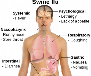 New Swine Flu Viral Strain