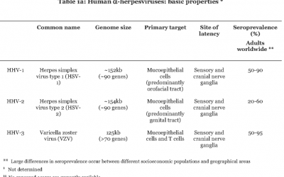 Lyme disease herpes virus connection