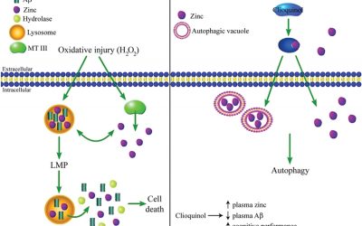 Zinc-Ionophore-COVID-19