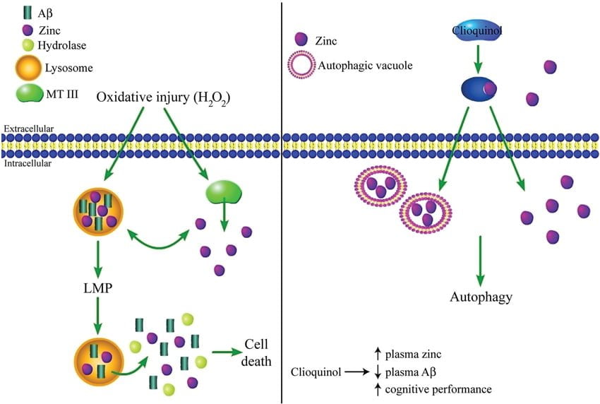 Zinc-Ionophore-COVID-19